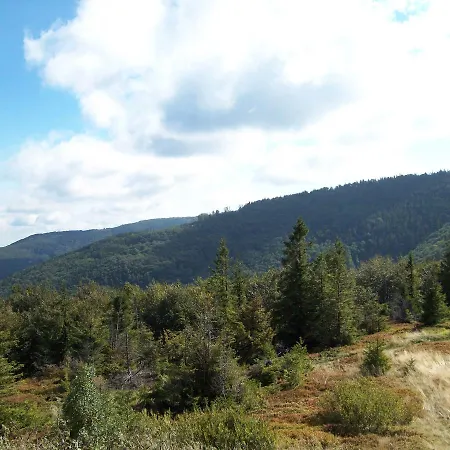 Chalet Podlas *